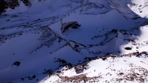 Огромный Ледник Горах Много Туристов Ходить Снегу Фотографировать Льдом Вид — стоковое видео