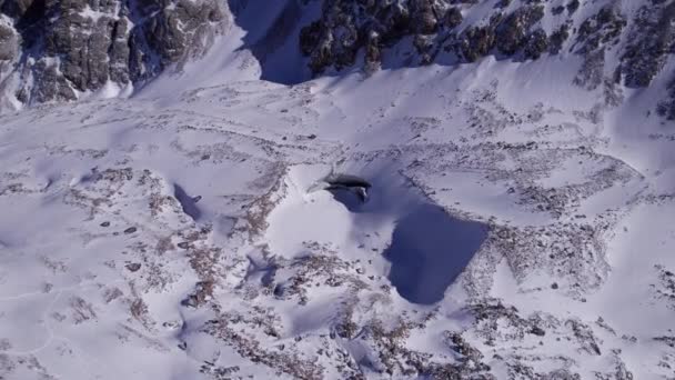 Huge Frozen Glacier Mountains Lot Tourists Walking Snow Taking Photos — Video