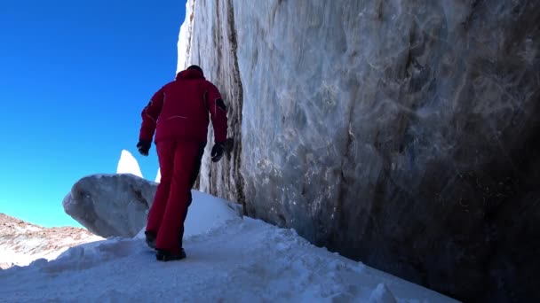 Guy Climbs Large Glacier Mountains Huge Ice Wall Resembles Marble — Stock Video