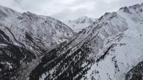 Ψηλά Χιονισμένα Βουνά Δάσος Στο Φαράγγι Σκούρος Ουρανός Σύννεφα Ζοφερή — Αρχείο Βίντεο