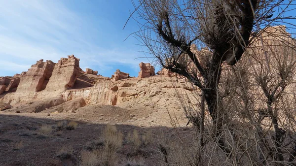 Büyük Kanyon Charyn Turuncu Uçurumlar Kayalar Bazı Yerlerde Kuru Çalılar — Stok fotoğraf