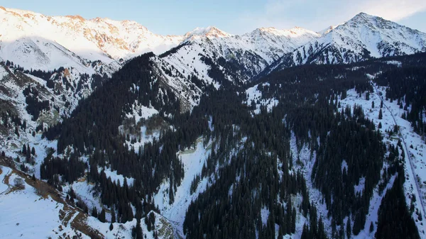 Karlı Dağlardaki Kozalaklı Orman Beyaz Bulutlar Gökyüzünde Yüzer Nın Üst — Stok fotoğraf