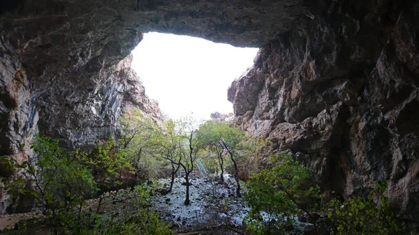 모스크의 생태적 기후를 동굴이었습니다 그것은 표면에 내리고 있으며 커다란 구멍이 — 스톡 사진