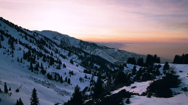 Yüksek Karlı Dağlarda Destansı Kırmızı Turuncu Gün Batımı Uzun Kozalaklı — Stok fotoğraf