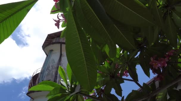 透过水塔上的树叶看过去 枝条上有绿色的大叶和粉红色的花 一座有塑料管的旧塔楼生锈的楼梯蓝天白云 梅花树 — 图库视频影像