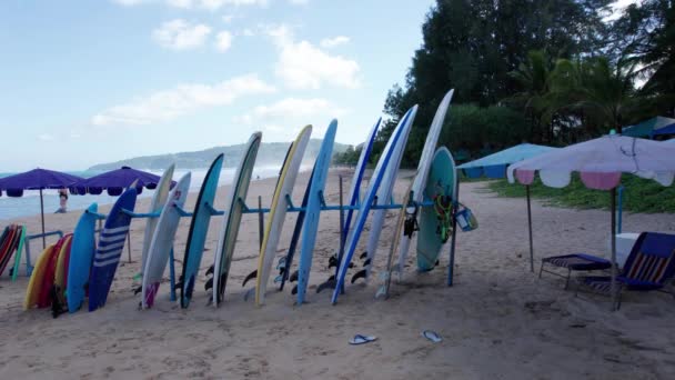 Uma Grande Variedade Pranchas Surf Praia Grandes Pequenos Modelos Areia — Vídeo de Stock