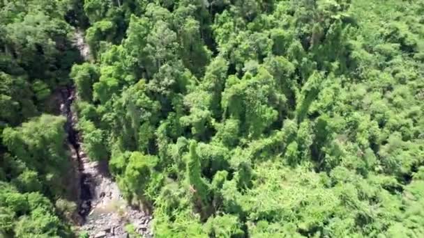 Pássaro Atacou Drone Danificando Câmera Árvores Verdes Uma Pequena Cachoeira — Vídeo de Stock