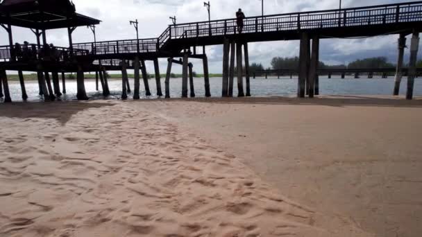Kraby Walczą Jedzenie Uciekają Drona Piaszczysta Plaża Płytką Rzeką Drewnianym — Wideo stockowe