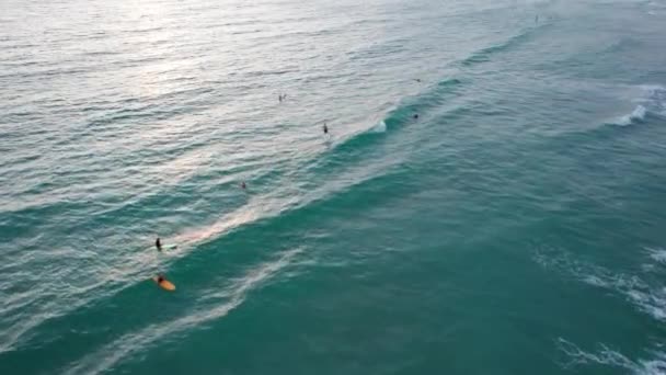 Гребной Серфинг Возле Пляжа Закате Вид Беспилотника Маленькие Волны Создают — стоковое видео