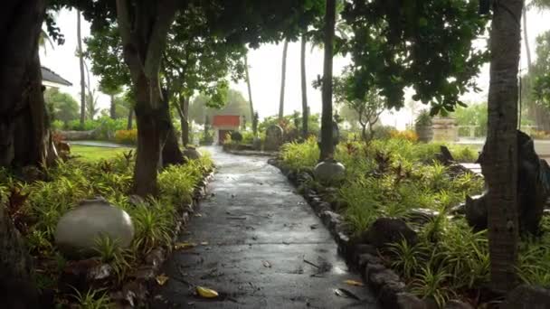 Lluvia Tropical Selva Parque Del Hotel Vista Del Sendero Palmeras — Vídeos de Stock