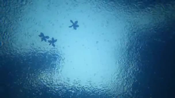 Вид Воды Небо Капли Дождя Капли Падающие Поверхность Воды Создают — стоковое видео