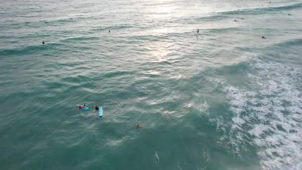 Гребной Серфинг Возле Пляжа Закате Вид Беспилотника Маленькие Волны Создают — стоковое видео