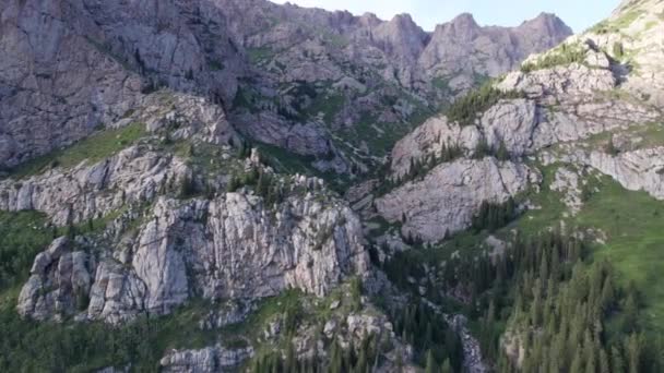 Une Cascade Haute Cascade Dans Une Gorge Montagne Les Conifères — Video