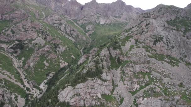 Drone Uitzicht Een Groene Kloof Met Hoge Rotsachtige Kliffen Loopt — Stockvideo