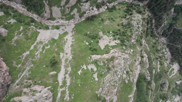 岩の崖のある緑色のゴージャスなドローンビュー 灰色で泡立つ川が流れています 空は覆われていた たくさんの大きな岩や樹木がある カザフスタンの野生生物 ブルカン バラク — ストック動画