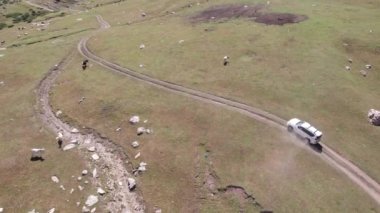 Beyaz bir SUV nehir boyunca uzanan bir vadi boyunca bir dağ yolunun üstesinden gelir. Uçurumlu yeşil alanlar. Dik uçurumlar ve yoldaki büyük kayalar. Keskin bir iniş ve tepe manzarası. Noel ağaçları