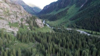 Kayaların arasındaki yeşil bir geçitte nehir manzarası. Uzun kozalaklı ağaçlar kayalıklarda ve tepelerde yetişir. Akan bir nehir akıyor. Yüksek dağlar. İHA 'nın üst görüntüsü. Bazı yerlerde yollar var.