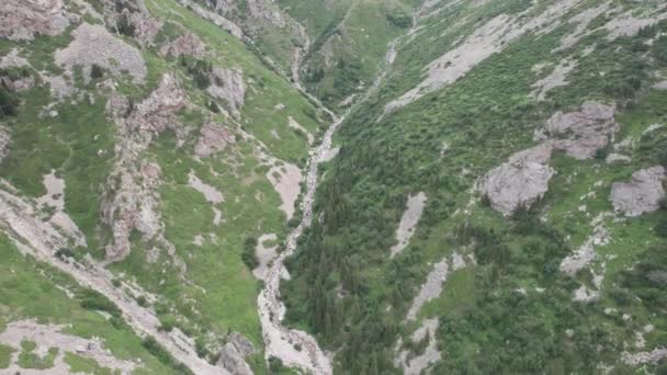 Drone Widok Zielony Wąwóz Wysokimi Skalistymi Klifami Płynie Szara Bąbelkująca — Wideo stockowe