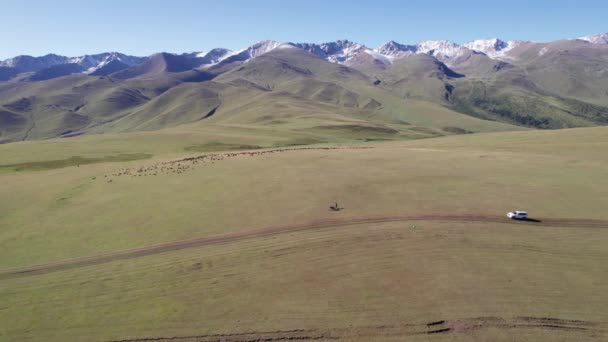 Білий Позашляховик Проїжджає Через Гірські Зелені Поля Відстані Високі Вершини — стокове відео