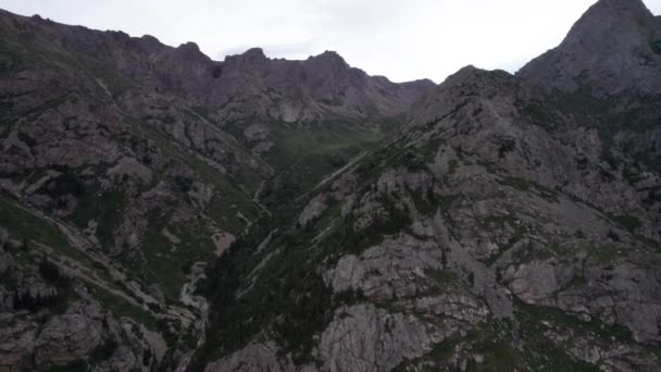 Вид Зеленое Ущелье Высокими Скалистыми Скалами Серая Бурлящая Река Бежит — стоковое видео