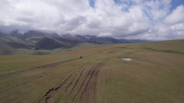 Ένα Λευκό Suv Οδηγεί Στα Βουνά Μέσα Από Χωράφια Αεροφωτογραφία — Αρχείο Βίντεο
