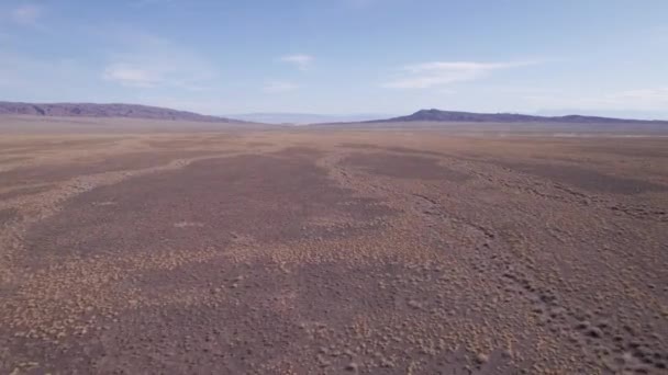 黄色いステップで放牧する牛の群れ すべての草は乾燥し 砂がたくさんあります 高山は遠くから見える 白い雲で青い空 道を歩いているカーペット — ストック動画