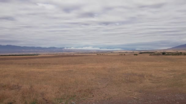 Erba Gialla Campo Sconfinato Con Vista Sulle Montagne Coperte Nuvole — Video Stock