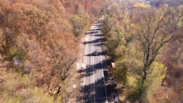 Автомобиль Едет Осенней Лесной Дороге Вид Сверху Беспилотника Транспорте Высокие — стоковое видео