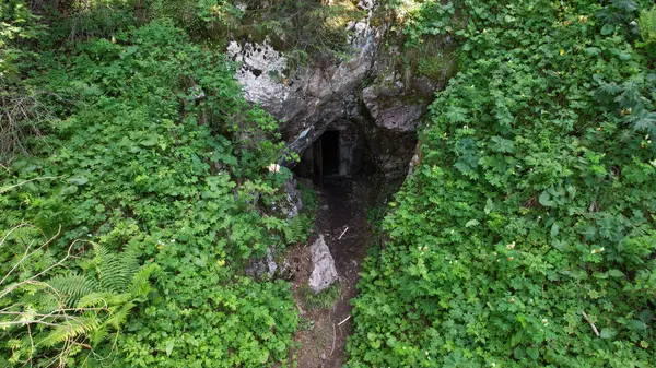 Entrada Cueva Piedra Está Escondida Por Vegetación Hierbas Verdes Arbustos — Foto de Stock
