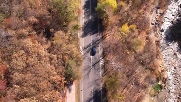 Samochód Jedzie Jesienną Leśną Drogą Widok Góry Drona Transport Rosną — Wideo stockowe