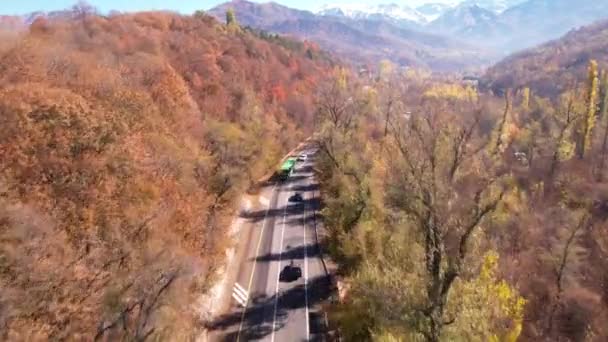 汽车正沿着一条秋天的森林公路行驶 从运输机上的无人机俯瞰 高大的树 长着黄色和橙色的叶子 有些地方有房子 河在流淌 — 图库视频影像