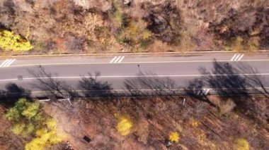 Araba sonbahar ormanı yolu boyunca gidiyor. Nakliye aracındaki dronun üst görüntüsü. Sarı-turuncu yapraklı uzun ağaçlar büyür. Bazı yerlerde evler var, nehir akıyor. Uzakta dağlar