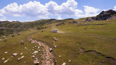 Beyaz bir SUV nehir boyunca uzanan bir vadi boyunca bir dağ yolunun üstesinden gelir. Uçurumlu yeşil alanlar. Dik uçurumlar ve yoldaki büyük kayalar. Keskin bir iniş ve tepe manzarası. Noel ağaçları