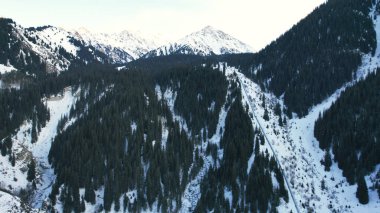 Coniferous forest in snowy mountains. White clouds float across the sky. Top view from a drone. In places, the road to the mountains and buildings are visible. There is a pipe along the gorge. Sunset