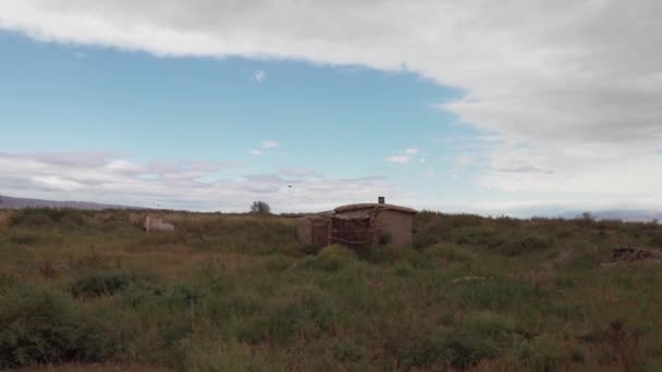 Una Vieja Casa Abandonada Entre Hierba Hierba Verde Amarilla Una — Vídeos de Stock