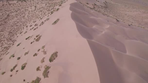 Большая Песчаная Дюна Посреди Степи Вид Беспилотника Огромную Кучу Песка — стоковое видео