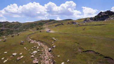Beyaz bir SUV nehir boyunca uzanan bir vadi boyunca bir dağ yolunun üstesinden gelir. Uçurumlu yeşil alanlar. Dik uçurumlar ve yoldaki büyük kayalar. Keskin bir iniş ve tepe manzarası. Noel ağaçları