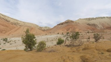 Vadinin ortasında eski bir saksafon çalısı yetişiyor. Renkli, nasırlı ve kayalık dağlar. Pembe kırmızı bir tonu var. Her yerde kayalar, çimenler ve kum var. Güneş ışınları. Kuru yaşayan ağaç