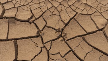 Kurtların izleri turuncu çamurda donmuş, kilde. Dünya kuraklıktan, güneşten ve rüzgardan çatladı. Birbiri ardına yürüyen yırtıcı hayvan izleri. Kazakistan 'ın Adımları