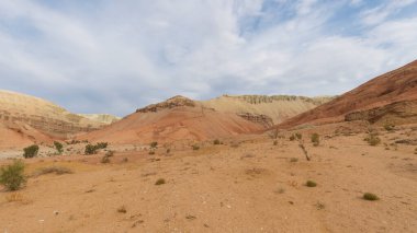 Renkli yüksek dağlar ve balçıktan yapılmış bir kanyon. Farklı taşları ve farklı renkleri olan büyük bir vadi. Kayaların duvarlarında kırmızı, turuncu, beyaz ve sarı çiçekler var. Bir turist yürüyor. Aktau