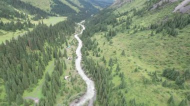 Ormandaki bir kamp alanının insansız hava aracı görüntüsü. Nehir boyunca birçok çadır ve araba var ve evler görülebilir. Yeşil çimenler, kozalaklı ağaçlar ve uzun bir nehir. İnsanlar dinleniyor.
