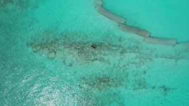 Siyahlı adam turkuaz okyanusta şnorkelle yüzüyor. Temiz su, kumsalda beyaz kum. Yapay dalga sönümleyicileri. Güneş ışınları sudan yansıtılır. İHA 'nın üst görüntüsü. Maldivler