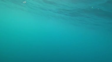 Turkuaz berrak okyanus suyu ve güneş ışınları. Hızlı hareket hızından kabarcıklar. Işıklı dalgalar ve derin depresyonlar. Suyun altında hızla çekim yapmak. Yunus arayışında