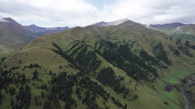 Yeşil çimen ve kayalarla kaplı büyük dağlar. İnsansız hava aracından nehrin geçitteki havadan görüntüsü. Bulutlu gökyüzü. Kozalaklı ağaçlar ve çalılar yetişir. Doğanın manzarası. Nehir akıyor.