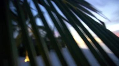 Beyaz kumlu tropik bir adada turuncu bir gün batımı. Yeşil palmiye ağaçları, ağaçlar ve çalılar. Gri bulutlar turuncu-kırmızıyla işaretlenmiştir. Sakin okyanus bir ayna gibidir. Bir köprü ve deniz kenarında bir ev