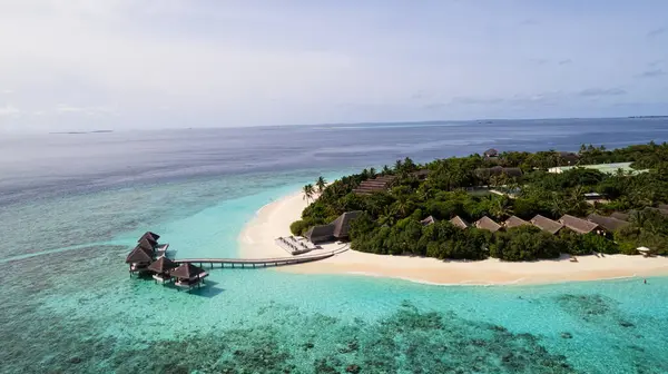 Turkuaz berrak su ve yeşil Maldivler adası. Okyanusun ve resifin üst manzarası. Palmiye ağaçları adada yetişir. Bungalovlar ve villalar var. Kumsalda beyaz kum. Balıklar görünür.