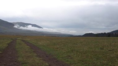Tepelere giden tarlalardan geçen bir yol. Sarı-yeşil çimenler. Uzakta, beyaz bulutlarla kaplı dağları, kozalaklı ormanları, bulutlu ve yağmurlu havayı görebilirsiniz. Kırsal alan