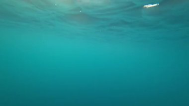 Turkuaz berrak okyanus suyu ve güneş ışınları. Hızlı hareket hızından kabarcıklar. Işıklı dalgalar ve derin depresyonlar. Suyun altında hızla çekim yapmak. Yunus arayışında