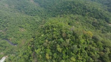 Tropikal yağmur ormanları dik yamaçları kaplıyor. Binalarla dolu canlı bir kıyı şeridi ve sakin bir turkuaz deniz ile buluşup pitoresk bir tropikal cennet yaratıyorlar.