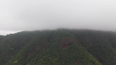 Yoğun sis, koh chang adasının yemyeşil dağ zirvesini giderek kaplayarak el değmemiş yağmur ormanları boyunca etkileyici bulut örtüsüyle gizemli tropikal bir atmosfer yaratır.